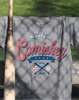 Chicago White Sox Comiskey Park Tshirt