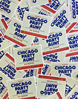 Vote Chicago Party Aunt For Mayor